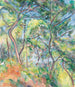 Bosgrond - Paul Cézanne — weergave van het kunstwerk