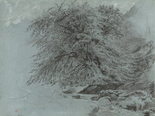 Paul Huet - A Wild Beech in Full Leaf.webp