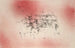 Landschap met Vogels - Paul Klee — weergave van het kunstwerk