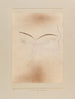 Klein spook dier - Paul Klee — weergave van het kunstwerk