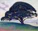 De den van Bonaventure - Paul Signac — weergave van het kunstwerk