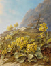 Primula auricula Primevères - Pauline Halm Flechner — weergave van het kunstwerk