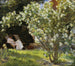 Rozen van Marie Kryer zittend op de ligstoel in de tuin van het huis van mevrouw Bendsen - Peder Severin Krøyer — weergave van het kunstwerk