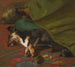 Pendant que les chiens dorment - John Emms — artwork view