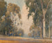 Eucalyptus - Percy Gray — weergave van het kunstwerk