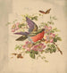 Scarlet and green parrot and wild roses - Louis Prang — artwork view