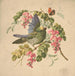 Parrot green and acacia - Louis Prang Co — artwork view