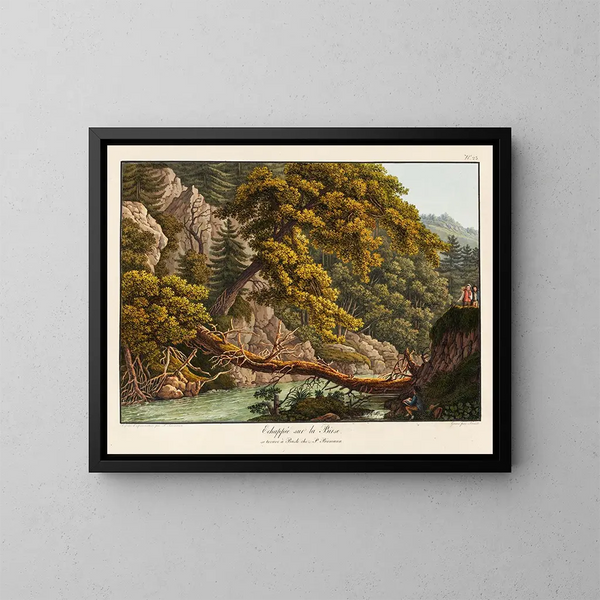 Échappée sur la Birse - Peter Birmann — framed artwork on a wall