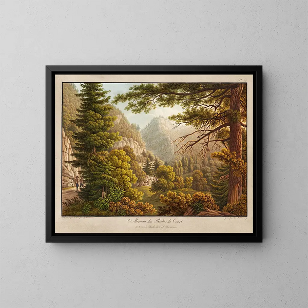 Morceau des roches de Court - Peter Birmann — framed artwork on a wall