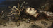 Hoofd van Medusa - Peter Paul Rubens — weergave van het kunstwerk