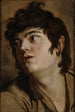 Head of a Young Man - Peter Paul Rubens — artwork view