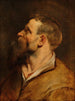 Gezicht van een bebaarde man - Peter Paul Rubens — weergave van het kunstwerk