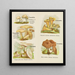 Kleine atlas van de paddenstoelen Pl5 - Delachaux Niestlé — ingelijst kunstwerk aan de muur