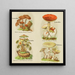 Kleine atlas van de paddenstoelen Schilderij Pl9 - Delachaux Niestlé — ingelijst kunstwerk aan de muur