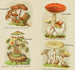 Kleine atlas van de paddenstoelen Schilderij Pl9 - Delachaux Niestlé — weergave van het kunstwerk