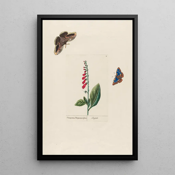 Digital Painting - Petr Martynovich Gofman — framed artwork on a wall
