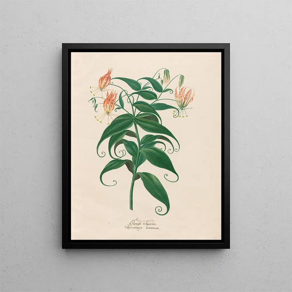 Petr Martynovich Gofman - Gloriosa Superba.webp