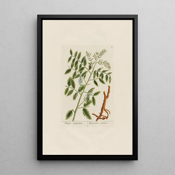 Licorice - Petr Martynovich Gofman — framed artwork on a wall