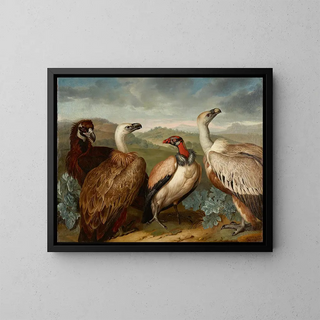 Philipp Ferdinand de Hamilton - Vier Geier Verschiedener Art.webp