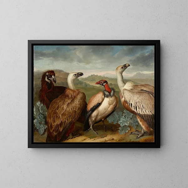 Four Vultures of Different Species - Philipp Ferdinand de Hamilton — framed artwork on a wall
