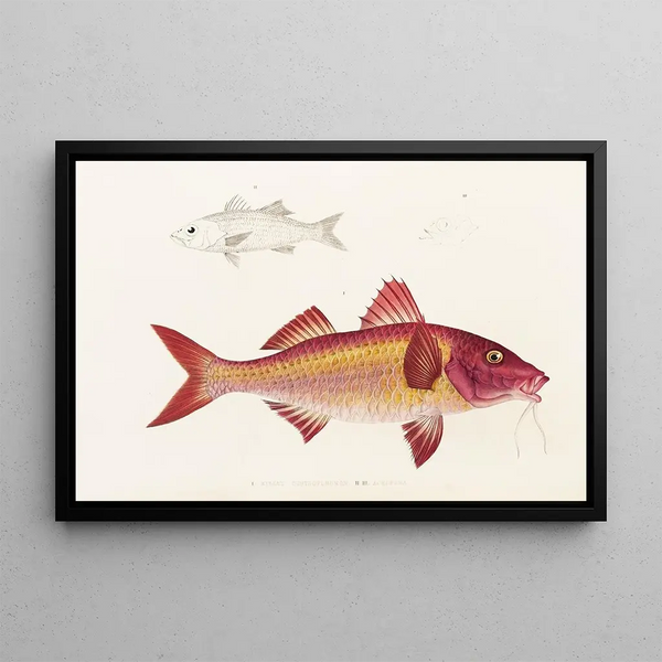 Japanse fauna Pl020 - Philipp Franz Balthasar von Siebold — ingelijst kunstwerk aan de muur