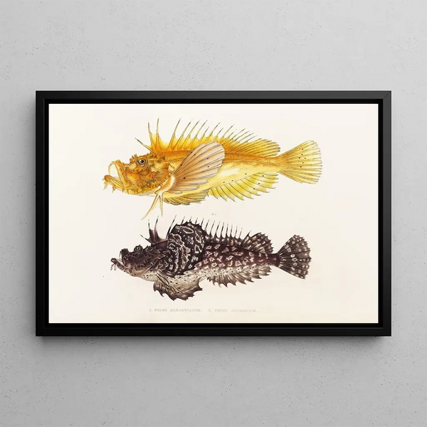Fauna japonica Pl029 - Philipp Franz Balthasar von Siebold — ingelijst kunstwerk aan de muur