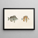 Fauna japonica Pl054 - Philipp Franz Balthasar von Siebold — framed artwork on a wall