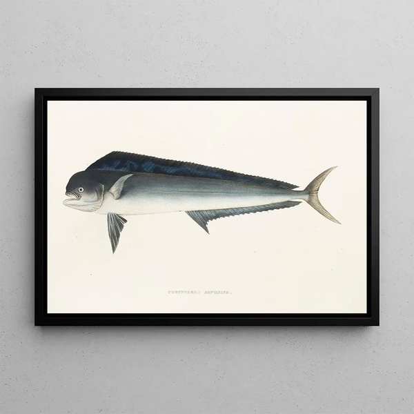 Japanse fauna Pl077 - Philipp Franz Balthasar von Siebold — ingelijst kunstwerk aan de muur