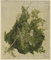 Bosje met witte bloemen - Philipp Rumpf — weergave van het kunstwerk