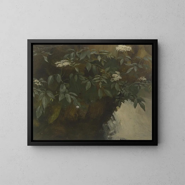 Flowering Elderberry - Philipp Rumpf — framed artwork on a wall