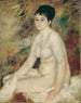 Na het bad - Pierre-Auguste Renoir — weergave van het kunstwerk
