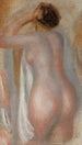 Nu de dos - Pierre-Auguste Renoir — weergave van het kunstwerk