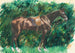 Een paard - Pierre-Auguste Renoir — weergave van het kunstwerk