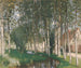 De populieren - Pierre-Eugène Montzin — weergave van het kunstwerk