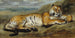 Tijger in rust - Pierre Andrieu — weergave van het kunstwerk