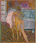 Vrouw bij haar toilette - Pierre Bonnard — weergave van het kunstwerk