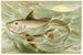 Chimère - Pierre Jacques Smit — artwork view