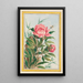 Plants of China Pl009 - Pierre Joseph Buchoz — framed artwork on a wall