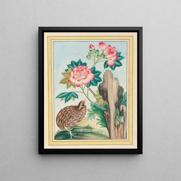 Pierre Joseph Buchoz - Plantes de Chine Pl015.webp