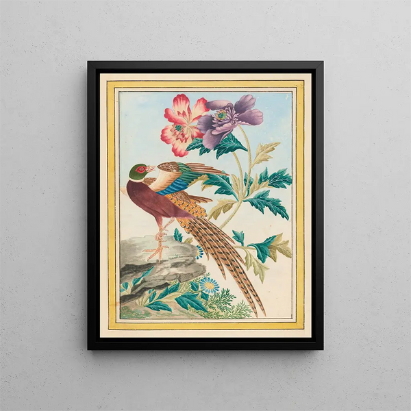 Pierre Joseph Buchoz - Plantes de Chine Pl024.webp