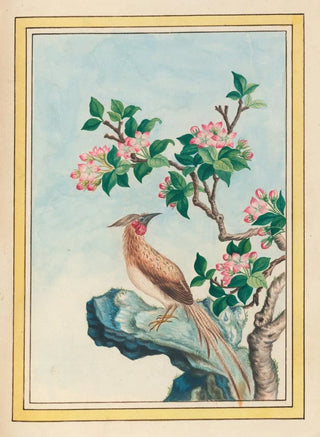 Pierre Joseph Buchoz - Plantes de Chine Pl048.webp