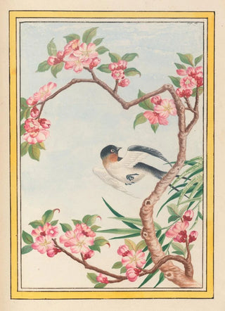 Pierre Joseph Buchoz - Plantes de Chine Pl050.webp