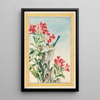 Pierre Joseph Buchoz - Plantes de Chine Pl055.webp