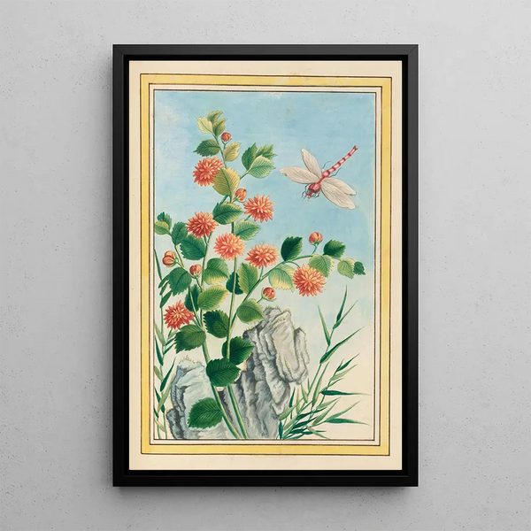 Pierre Joseph Buchoz - Plantes de Chine Pl073.webp