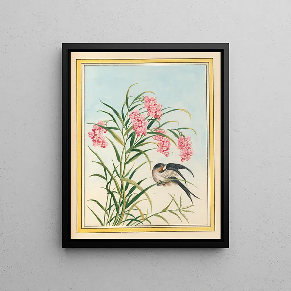 Pierre Joseph Buchoz - Plantes de Chine Pl081.webp
