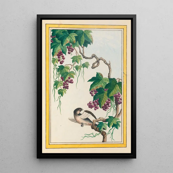 Pierre Joseph Buchoz - Plantes de Chine Pl091.webp