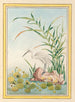 Chinese Plants Painting Pl094 - Pierre Joseph Buchoz — artwork view