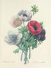 Keuze van de mooiste bloemen pl 008 - Pierre-Joseph Redouté — weergave van het kunstwerk