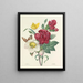 Keuze van de mooiste bloemen pl 037 - Pierre-Joseph Redouté — ingelijst kunstwerk aan de muur