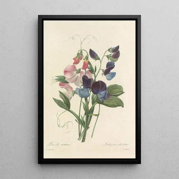 Choix des plus belles fleurs pl 039 - Pierre Joseph Redouté — ingelijst kunstwerk aan de muur